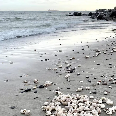 3 Bedroom Stunning In *